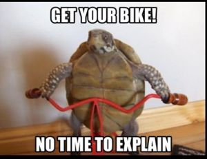 funny-cycling-meme